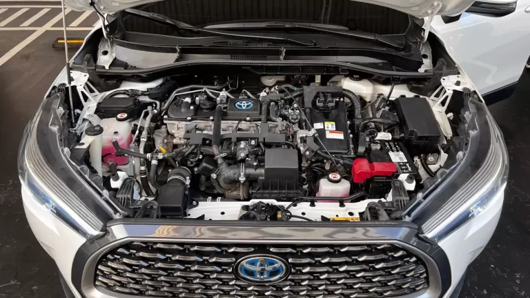 AnyConv.com__LYZ179 12