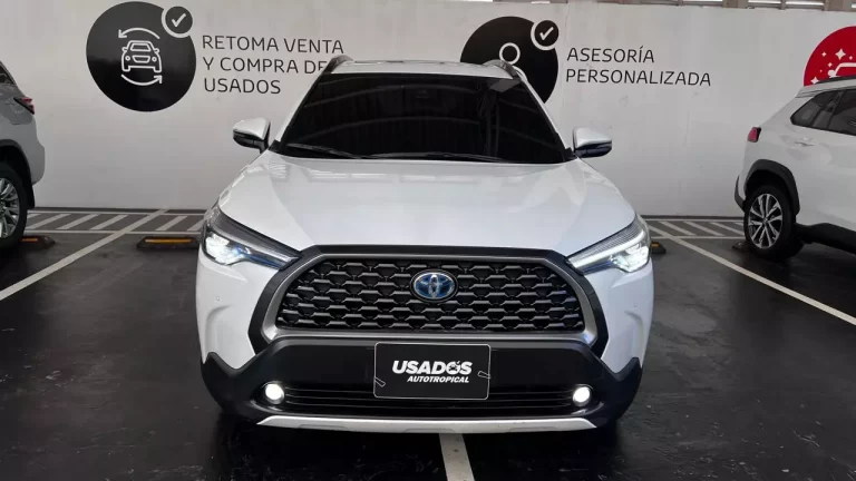 AnyConv.com__LYZ179 2